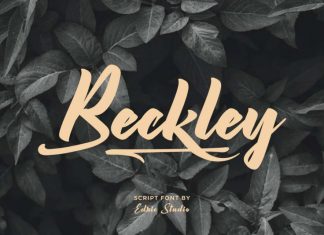 Beckley Brush Font