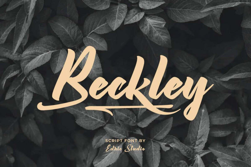 Beckley Brush Font