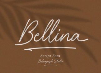 Bellina Handwritten Font