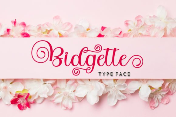 Bitgette Calligraphy Font