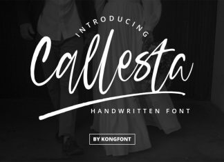 Callesta Script Font