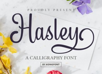 Hasley Calligraphy Font