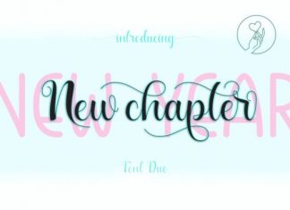 New Chapter Calligraphy Font