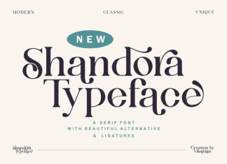 Shandora Serif Font