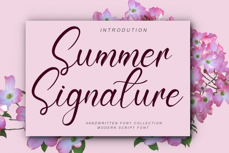 Summer Signature Script Font