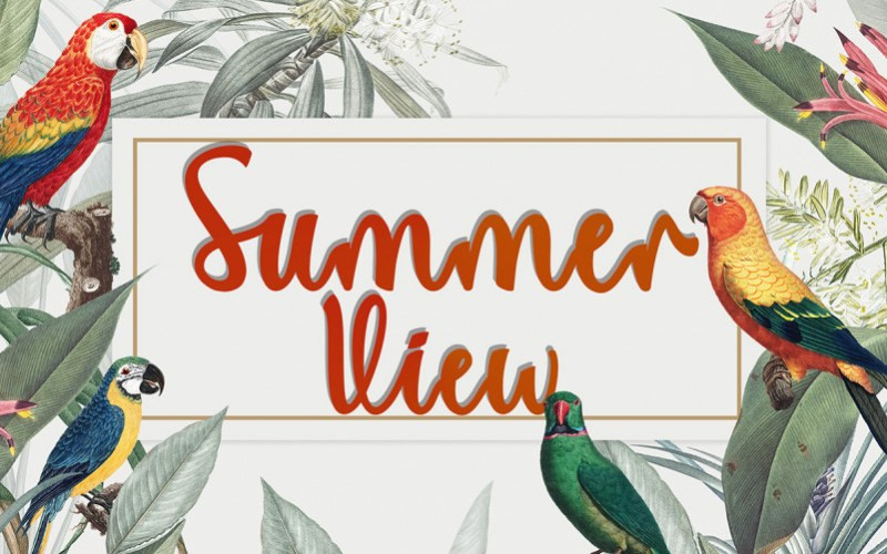 Summer View Script Font