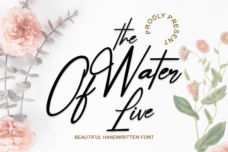 The Water Of Life Script Font