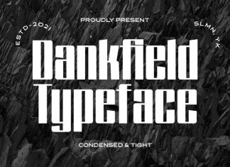 Dankfield Display Font