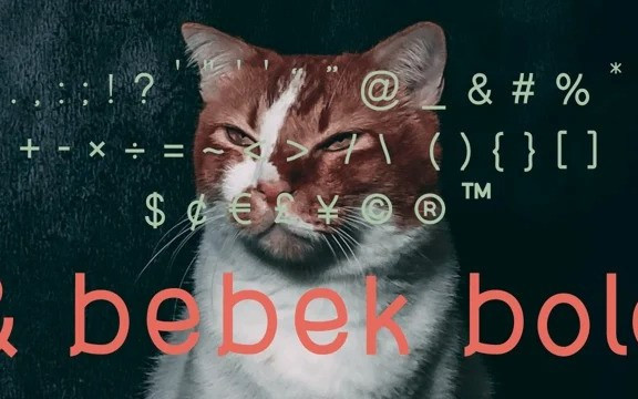 Bebek Display Font