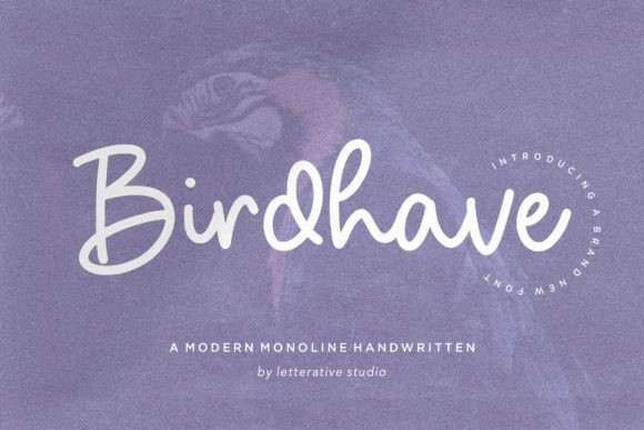 Birdhave Handwritten Font