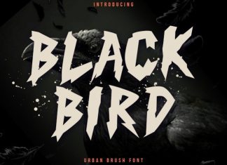 Black Bird Display Font