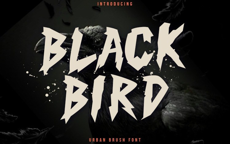 Black Bird Display Font