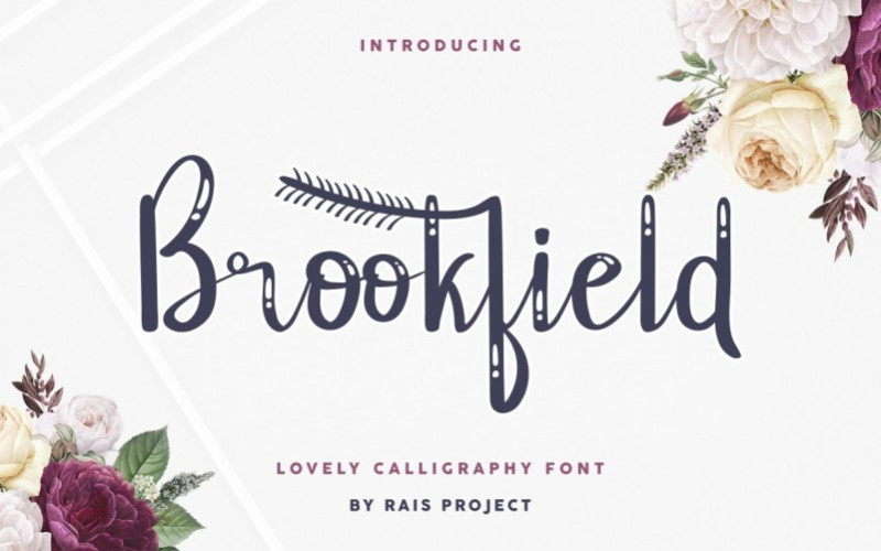 Brookfield Script Font