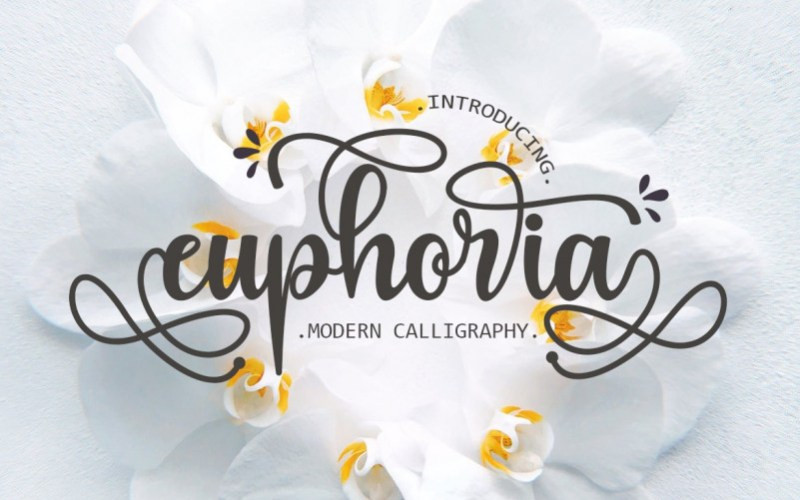 Euphoria Calligraphy Font