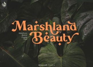 Marshland Beauty Serif Font