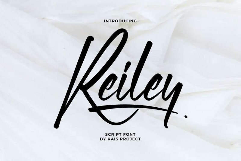 Reiley Script Font