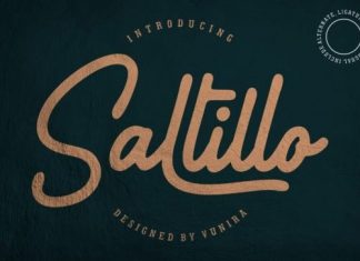 Saltillo Handwritten Font