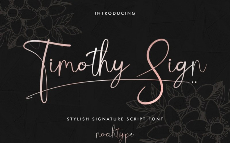 Timothy Sign Script Font