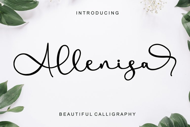 Allenisa Calligraphy Font