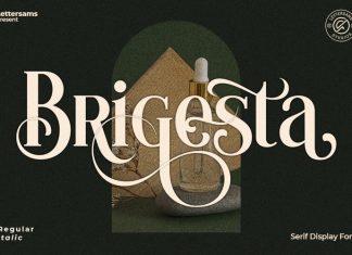 Brigesta Serif Font