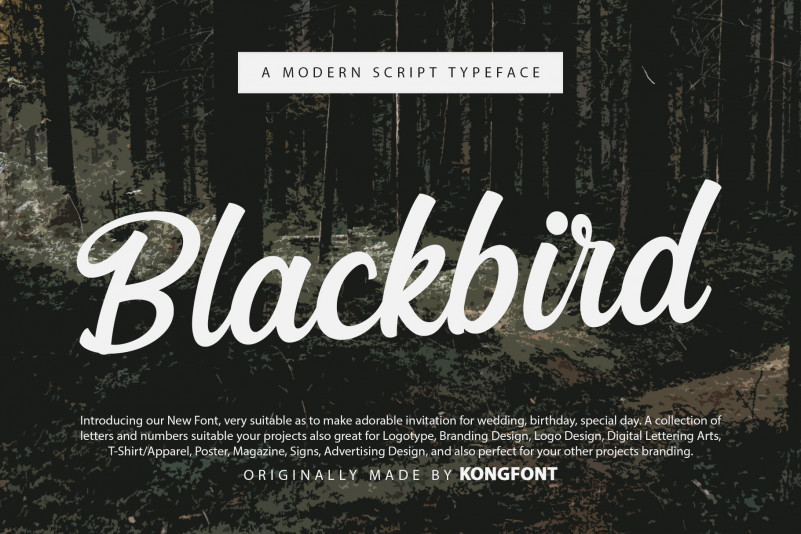 Blackbird Script Font