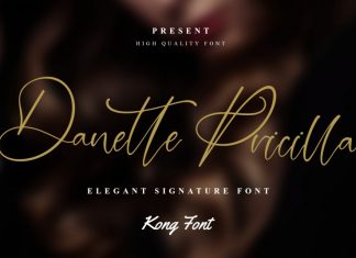 Danette Pricilla Calligraphy Font