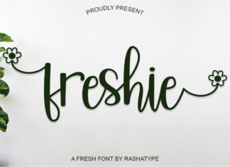 Freshie Calligraphy Font