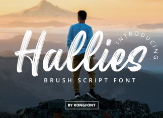 Hallies Brush Font