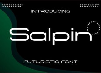 Salpin Sans Serif Font