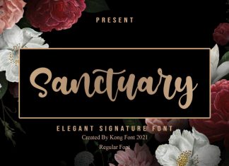 Sanctuary Handwritten Font