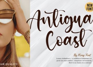 Antigua Coast Script Font