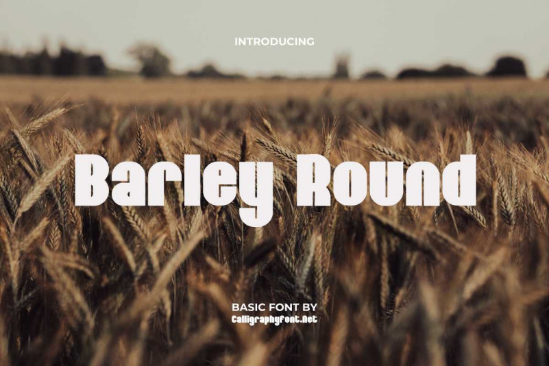 Barley Round Sans Serif Font