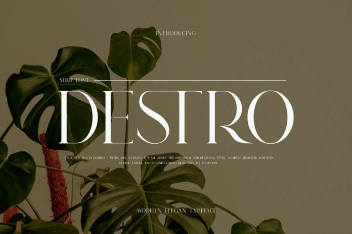 DSETRO Serif Font