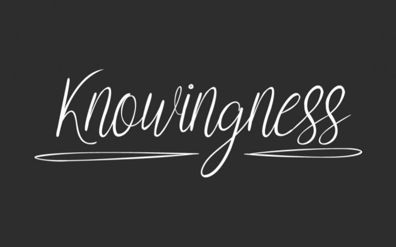 Knowingness Script Font