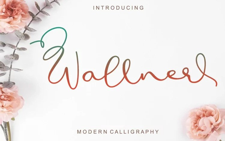 Wallner Calligraphy Font