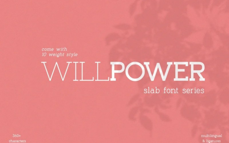 Willpower Slab Serif Font