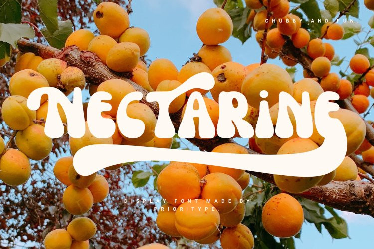 Nectarine Display Font