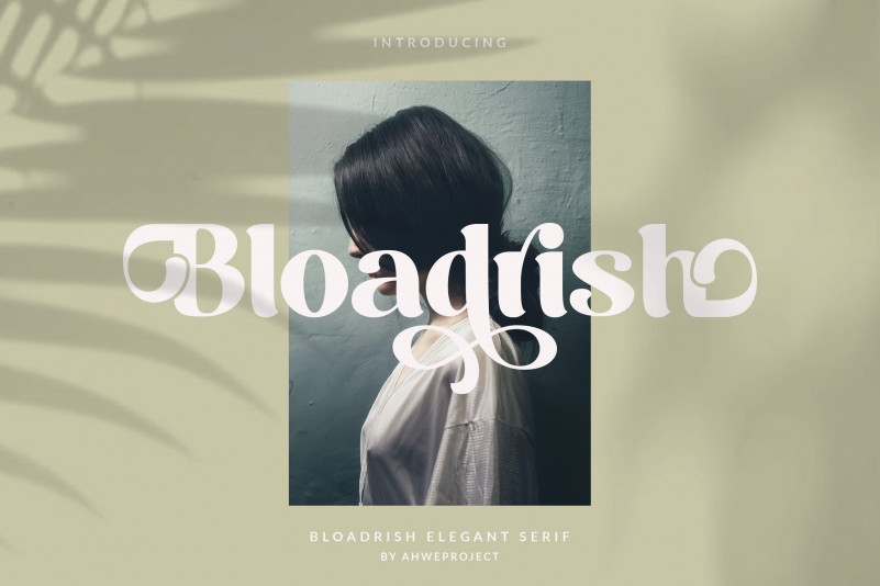 Bloadrish Sans Serif Font