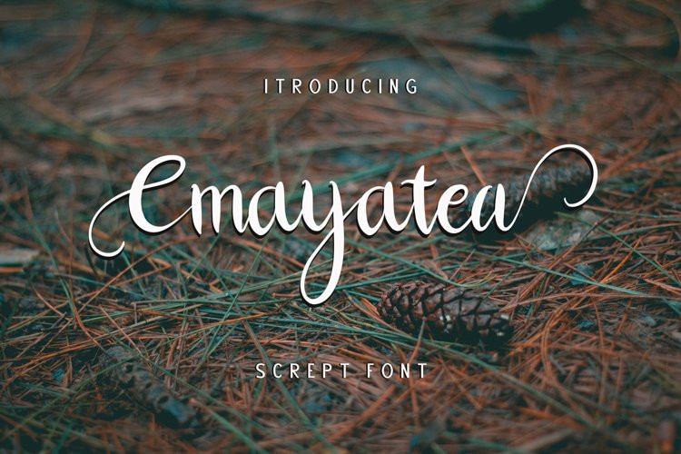 Cmayatea Calligraphy Font