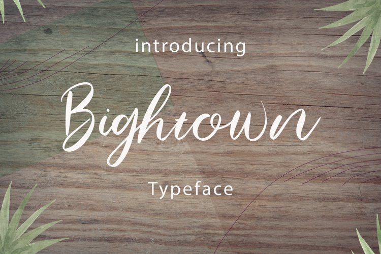 Bightown Script Font