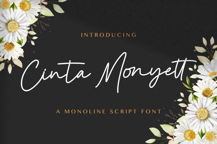 Cinta Monyett Handwritten Font