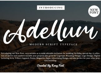 Adellum Script Font