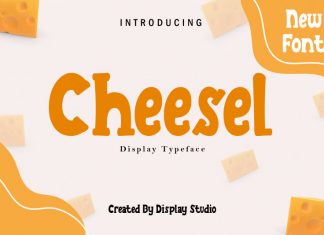 Cheesel Display Font