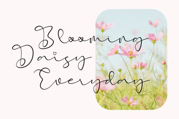 Early Morning Birds Script Font