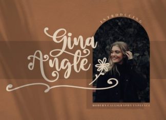 Gina Angle Script Font