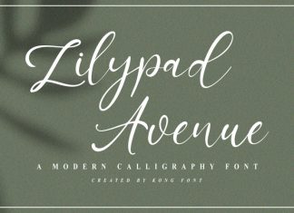 Lilypad Avenue Script Font