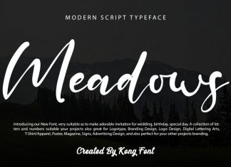 Meadows Script Font