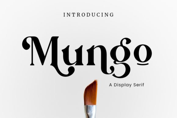 Mungo Serif Font