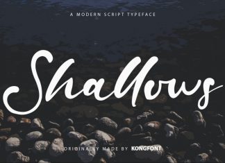 Shallows Script Font