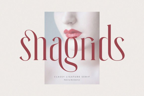 Snagrids Serif Font